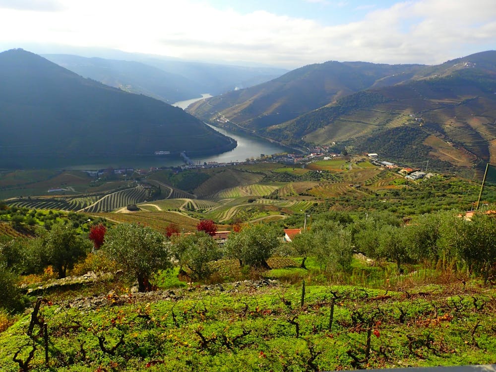 Douro Valley