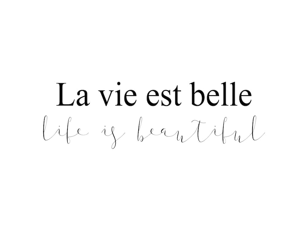 La Vie Est Belle I