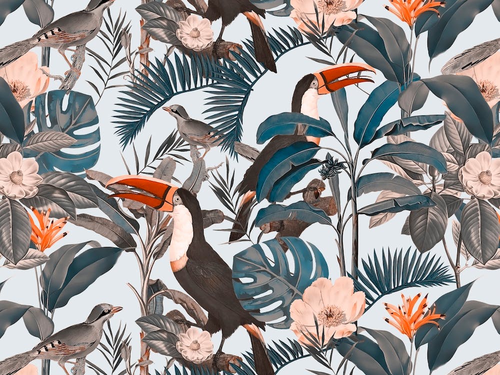 Toucan Jungle