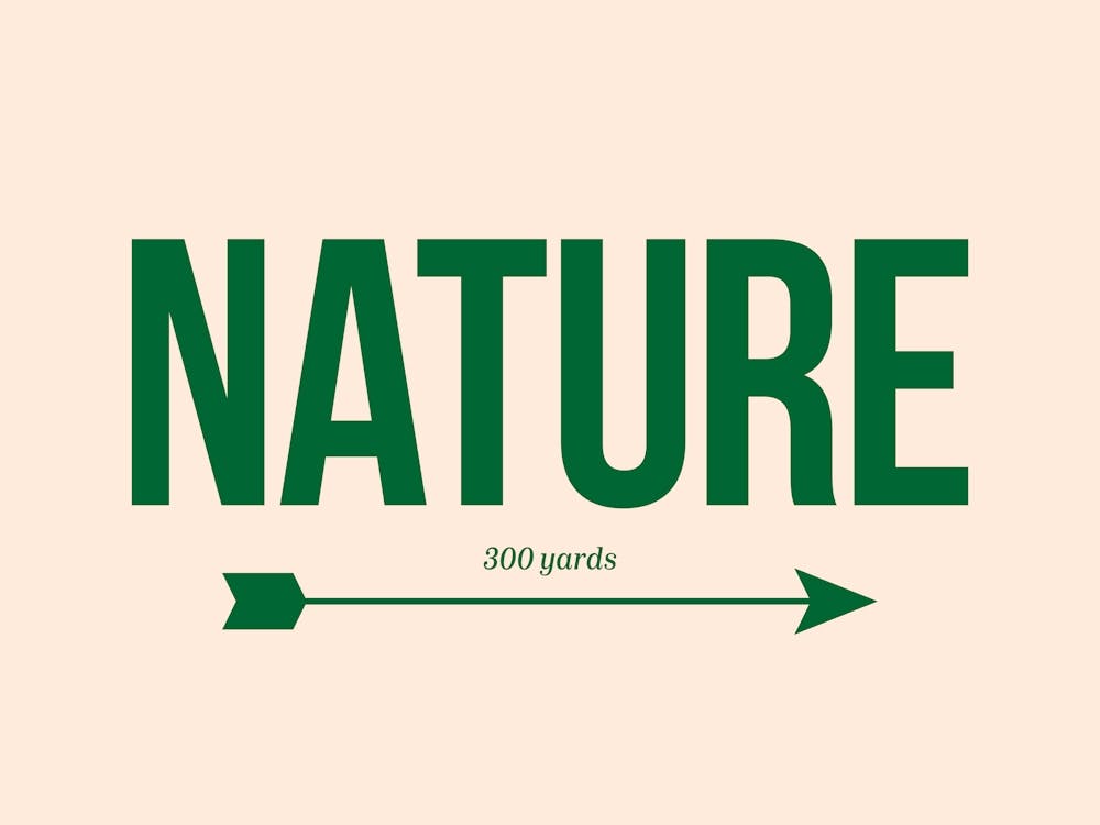 Nature – 300 yards that way.