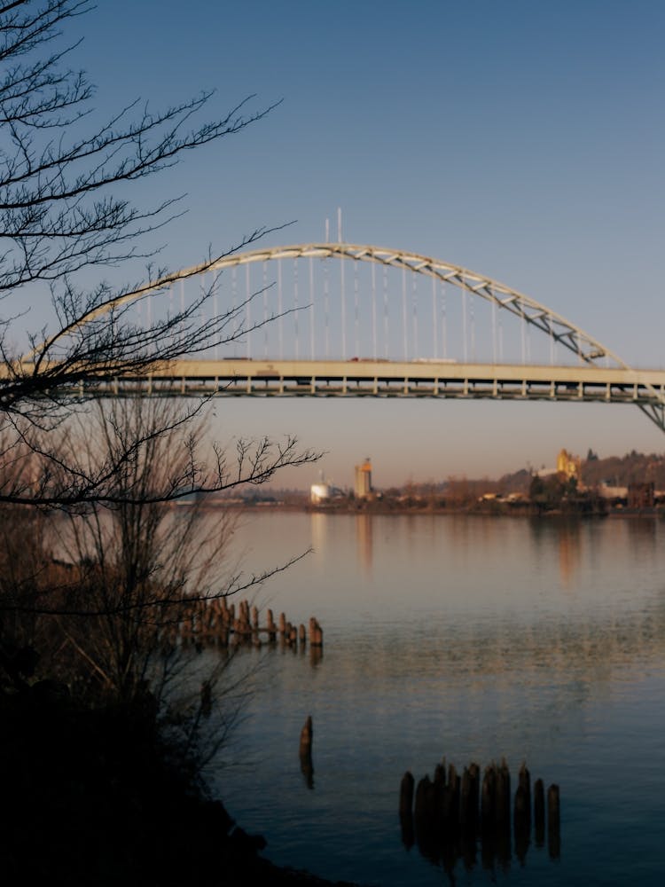 Fremont Bridge Portland Oregon II