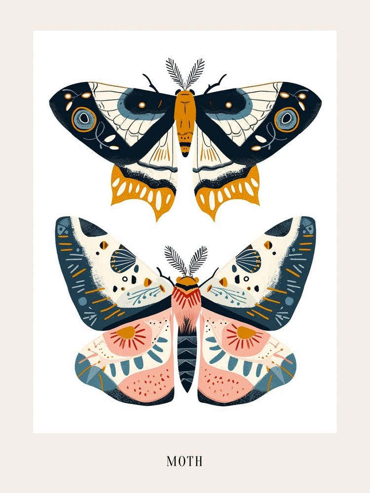 Colourful Insect Illustration Moth 35 Poster