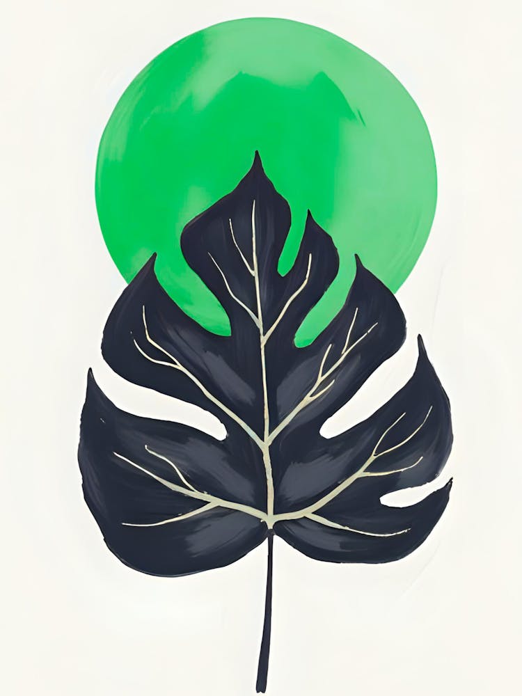 Monstera Leaf 14