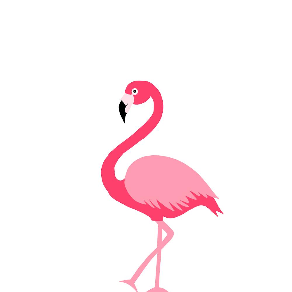 Pink Flamingo