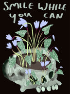 Cyclamen, Baby.