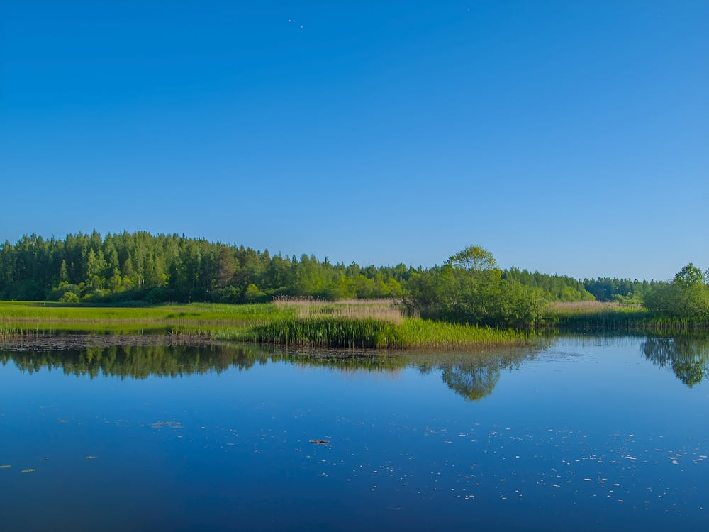 Lake - Lake Stock Videos & Royalty-Free Footage 1