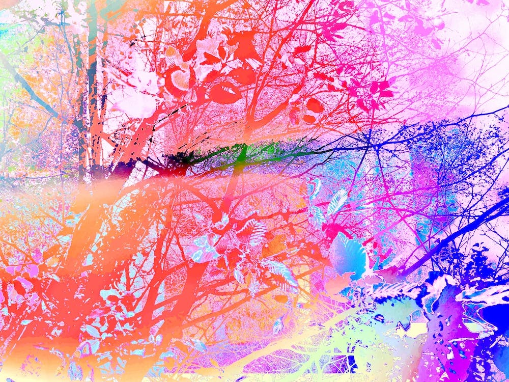 Under The Trees Colorful Abstract Landscape