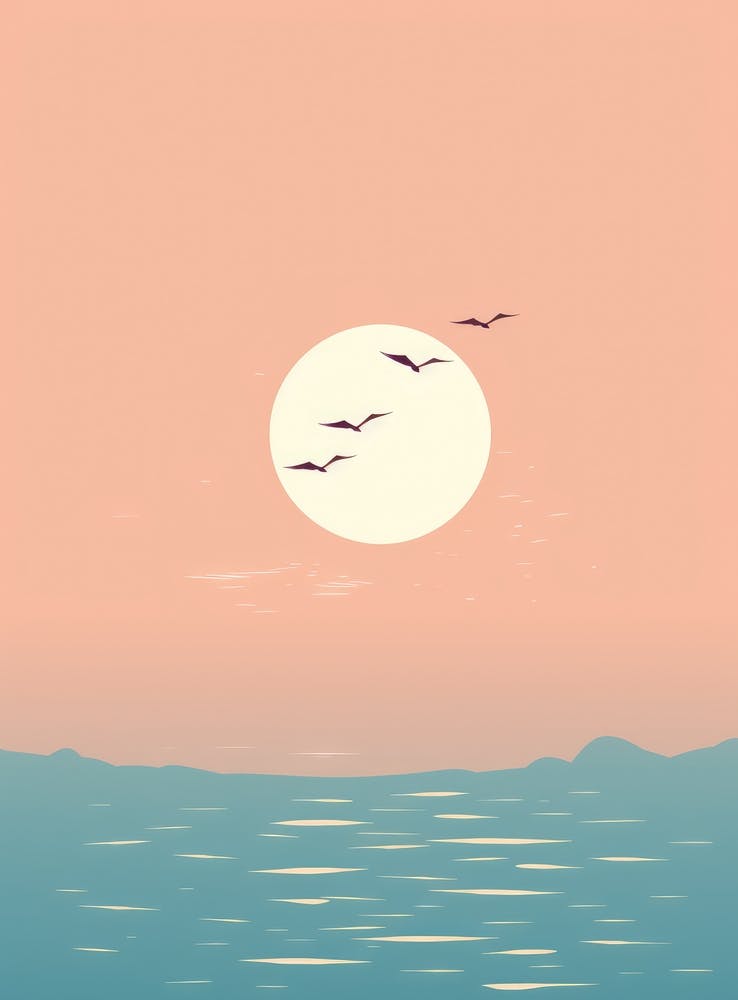 Coucher de Soleil Avec Mouettes