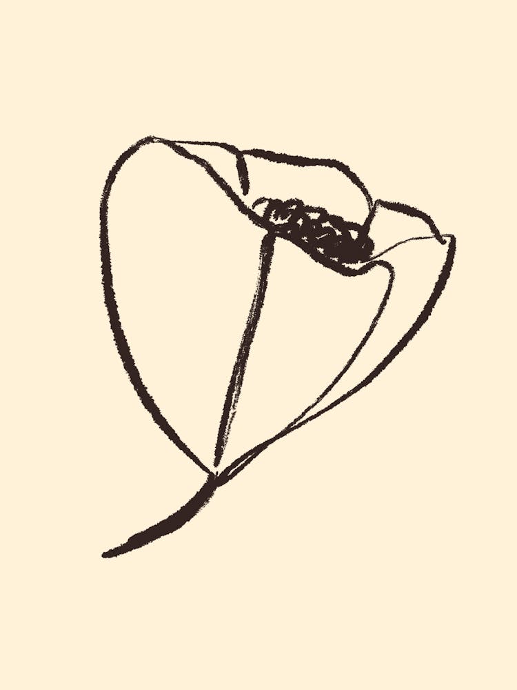 Vie simple no 115