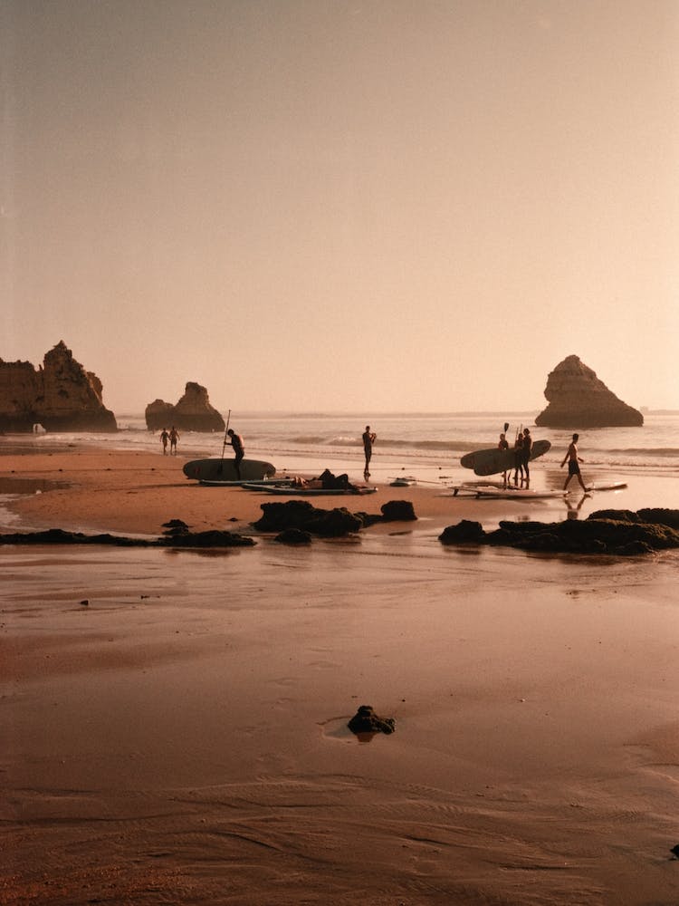 Surf Boards At The Coast