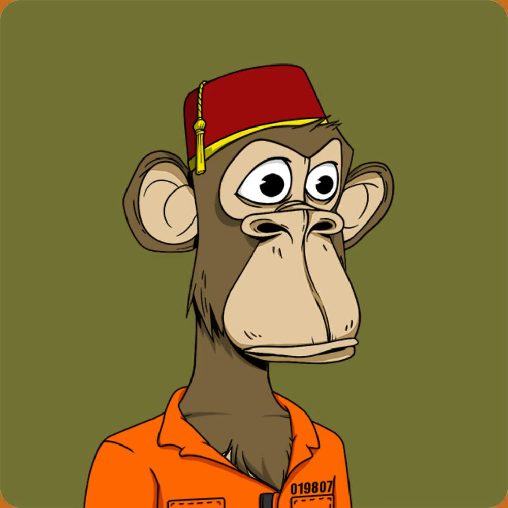 Bored Ape Scholars