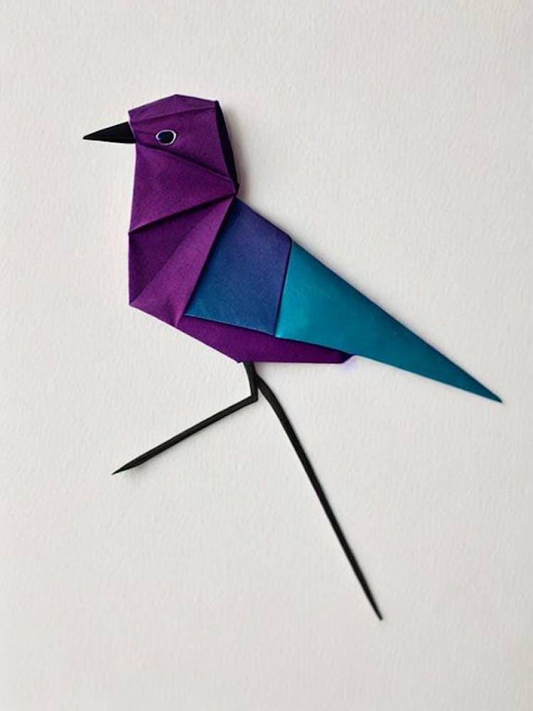 Kiwi 2 Origami Bird