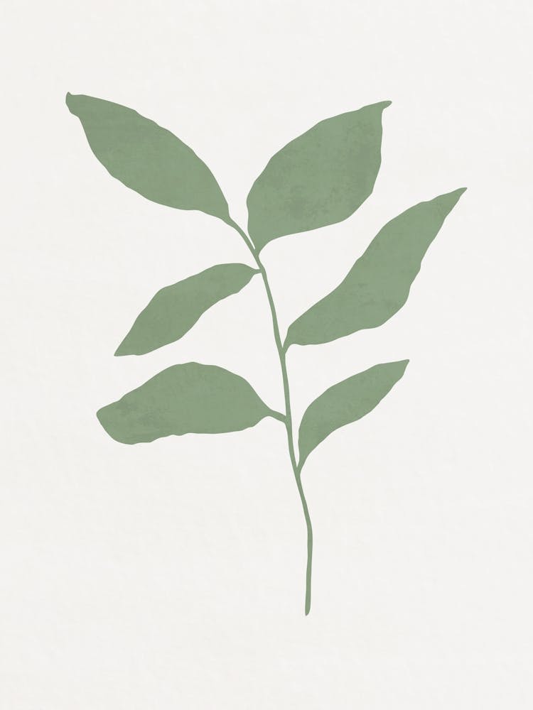 Minimalist Leaf 07
