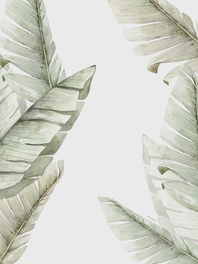 Banana Leaves Ii
