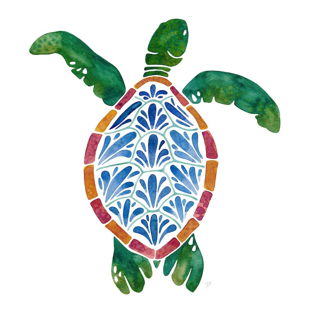 Green Sea Turtle Square