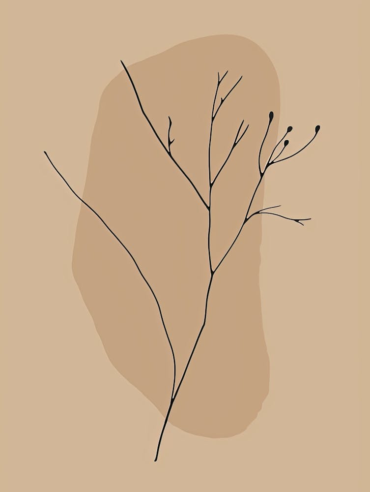 Barcelona Botanical Garden Boho Line Art