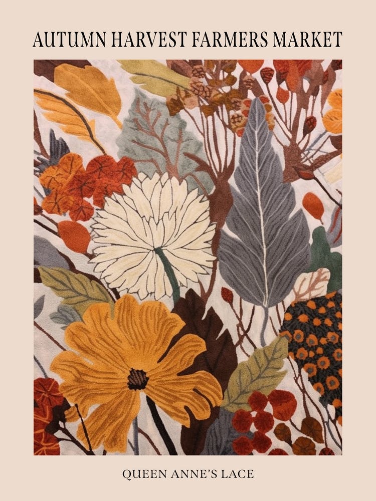 Fall Botanicals Queen Annes Lace 1 Poster