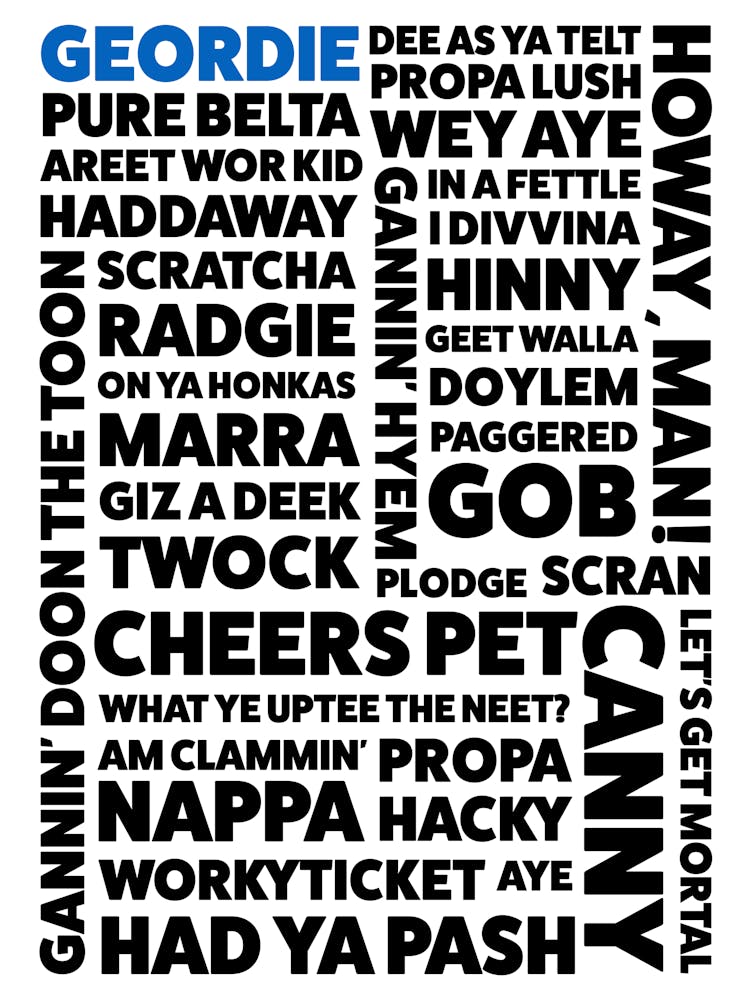 Ppd Geordiedialect Po 43