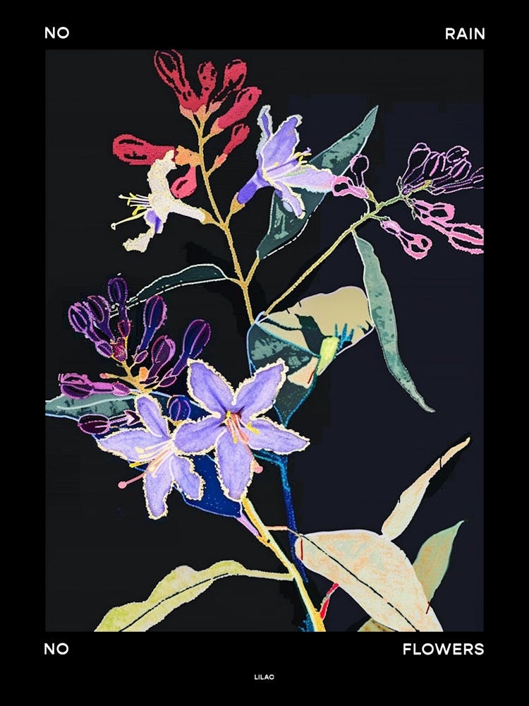 No Rain No Flowers Poster Lilac 2