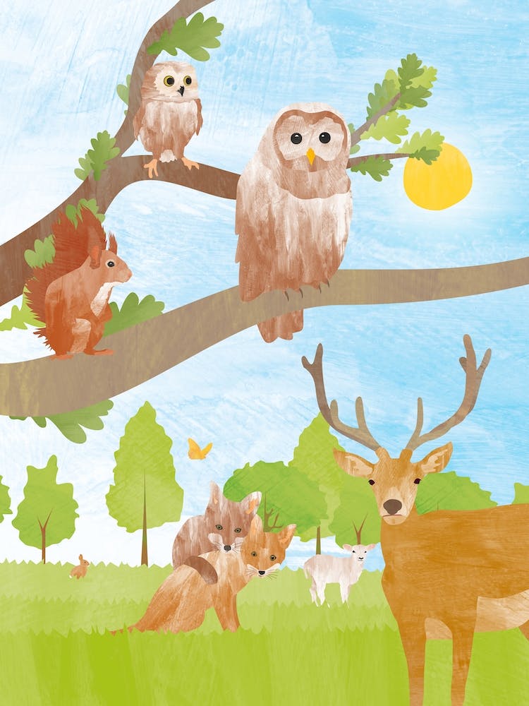 Woodland Animals