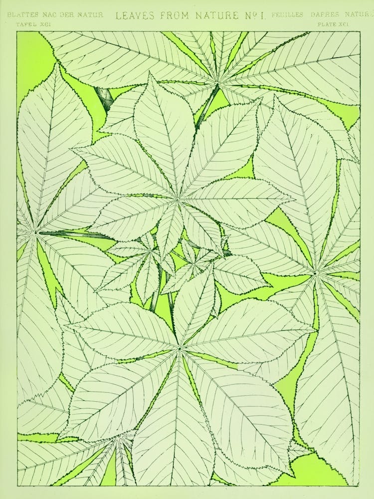 Green Leaves Retro Vintage