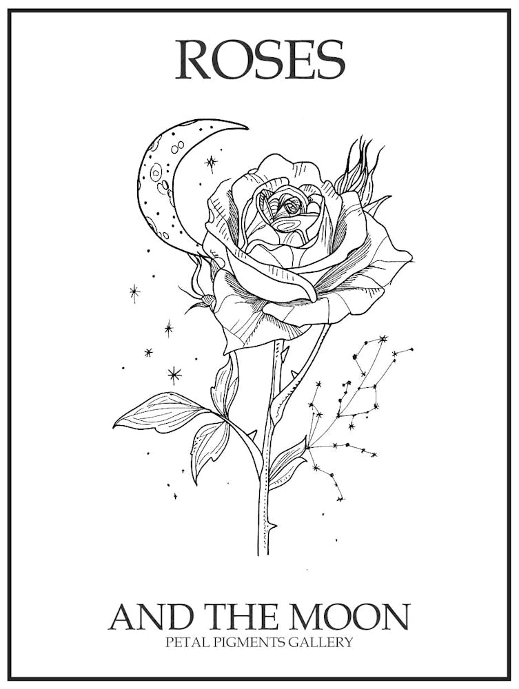 Roses And The Moon Line Drawing 1 Poster