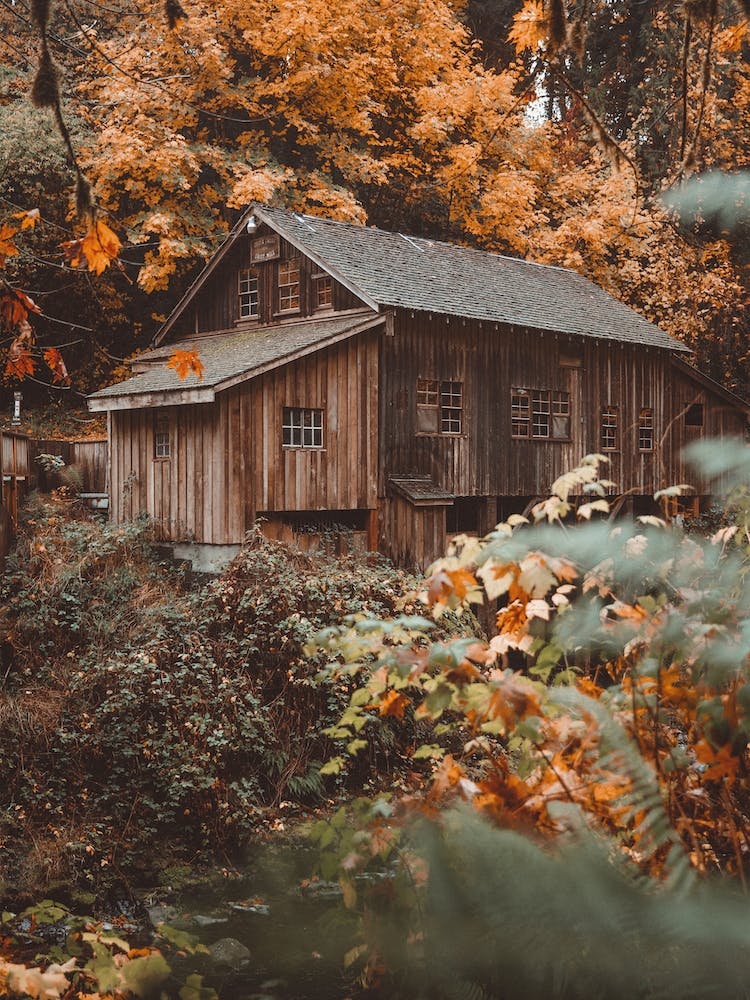 Cabane d'Automne Dans la Forêt