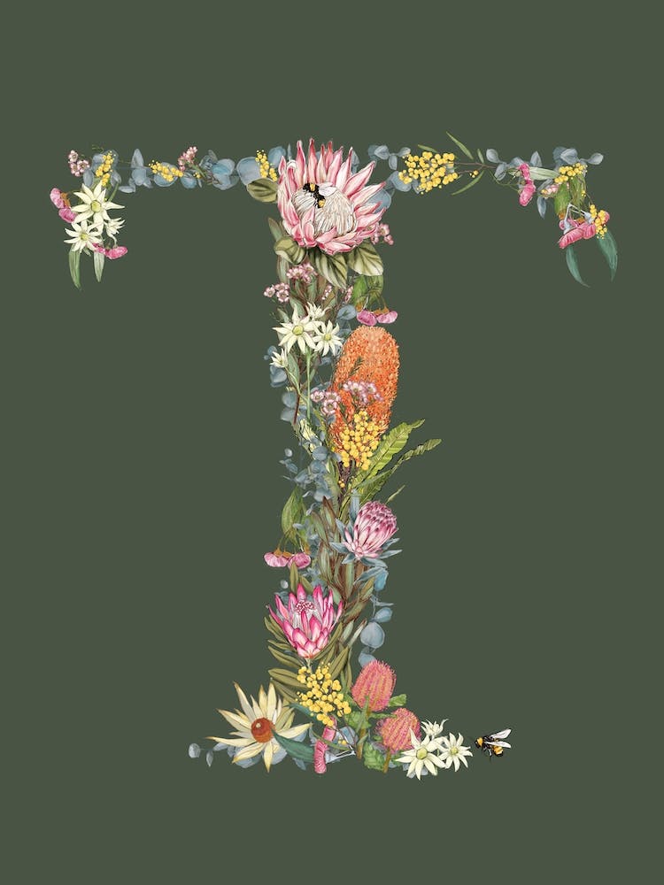 T Olive Alphabet Letter