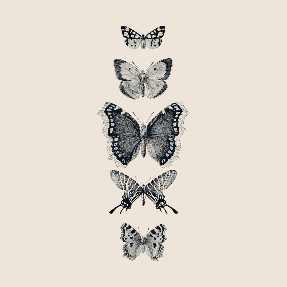 Inked Butterflies Beige Square