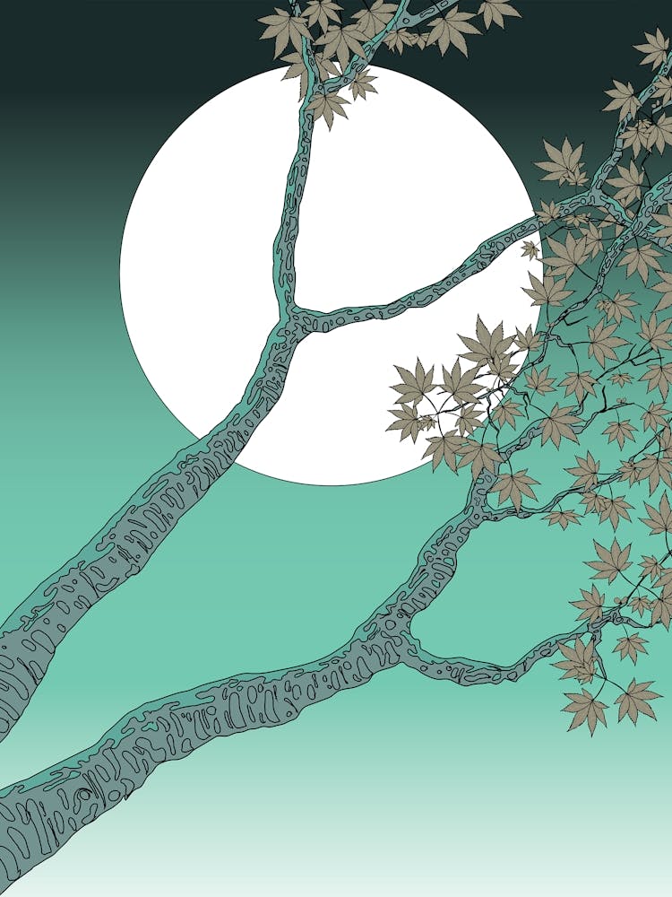 Moon And Tree At Night