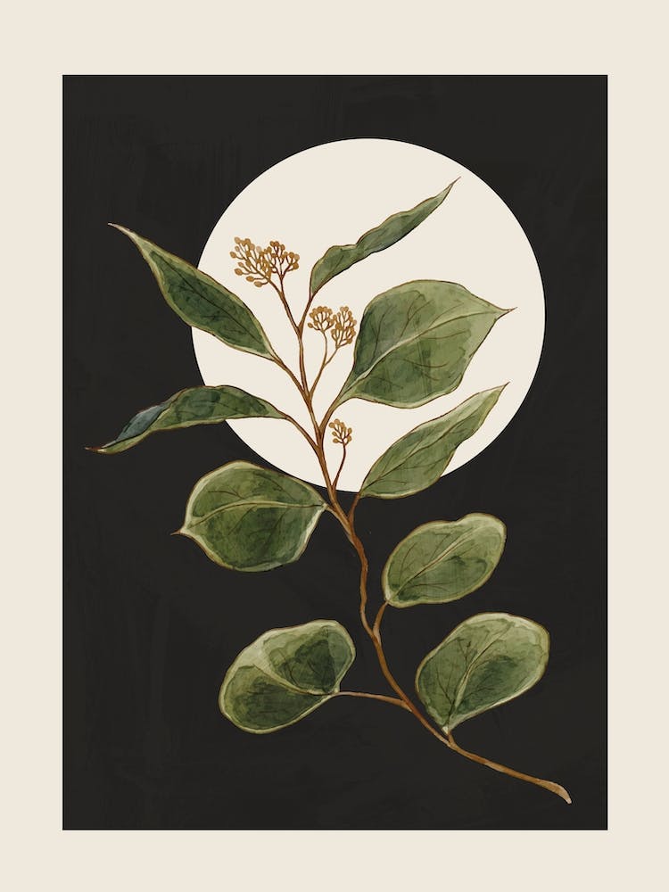 Beautiful Plant Leaves 1