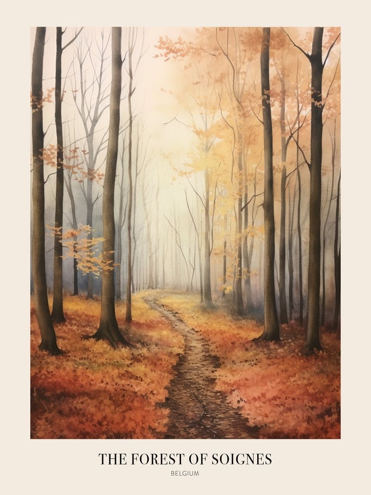 Autumn Forest Landscape The Forest Of Soignes Belgium Poster