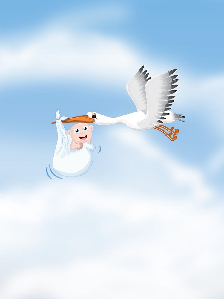 Stork With Baby