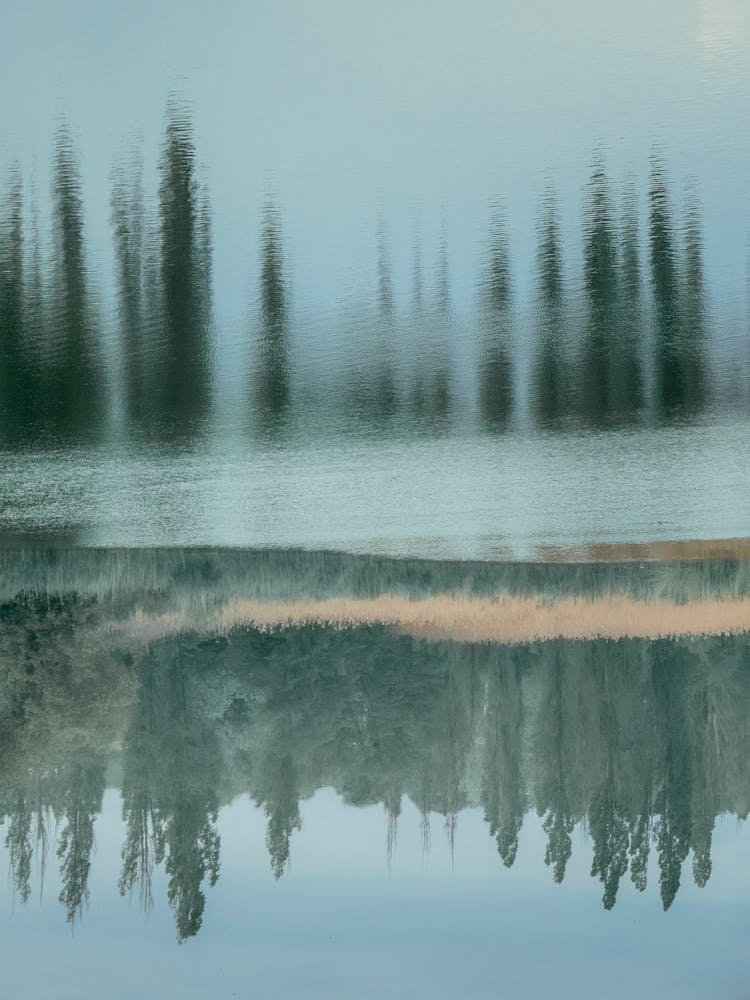Nature's Landscape. Forest, Lakes, And Reflection In Water. 1