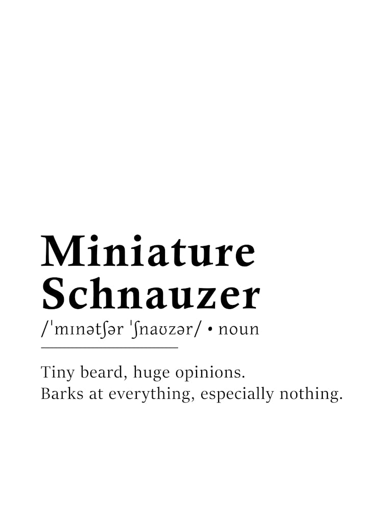 Miniature Schnauzer Definition Poster - Dictionary