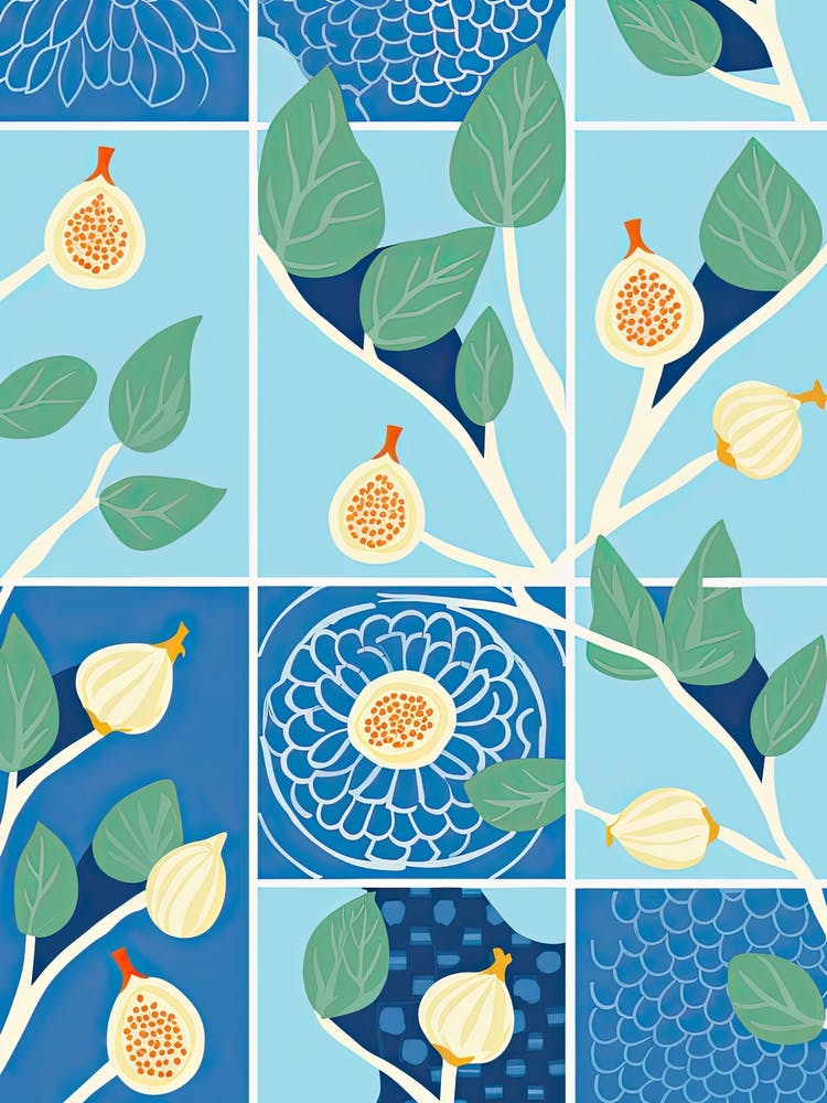 Figs Illustration 2
