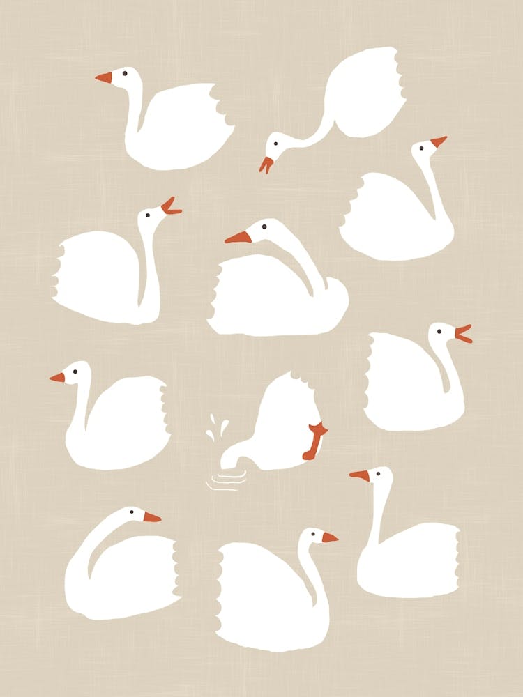 White Geese