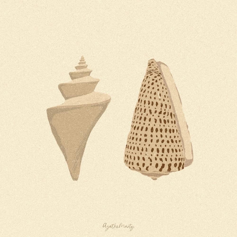 Couple Of Seashells Square