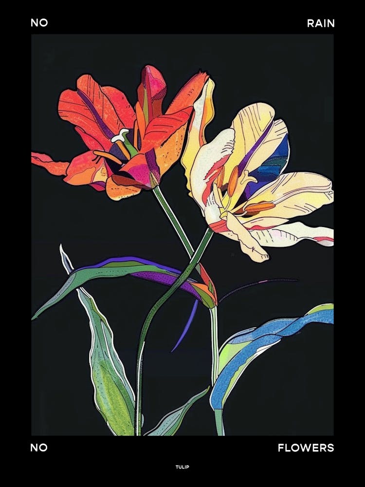 No Rain No Flowers Poster Tulip 2