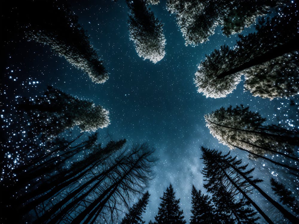 Starry Sky 1