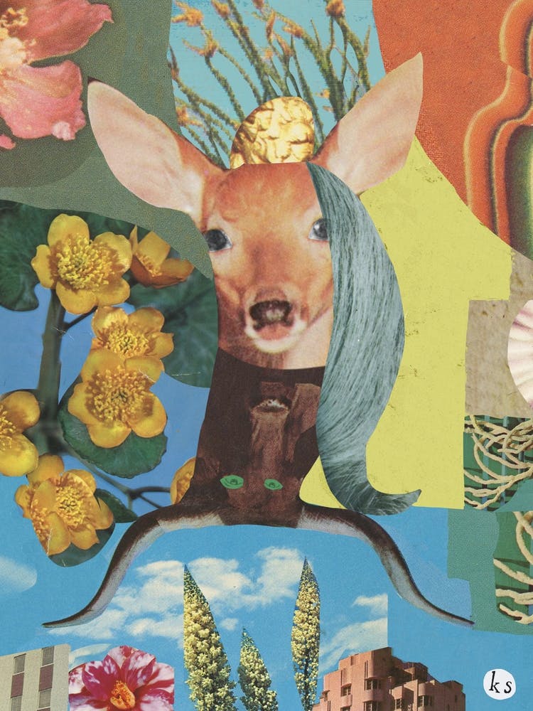 Deer Bull Flower Collage