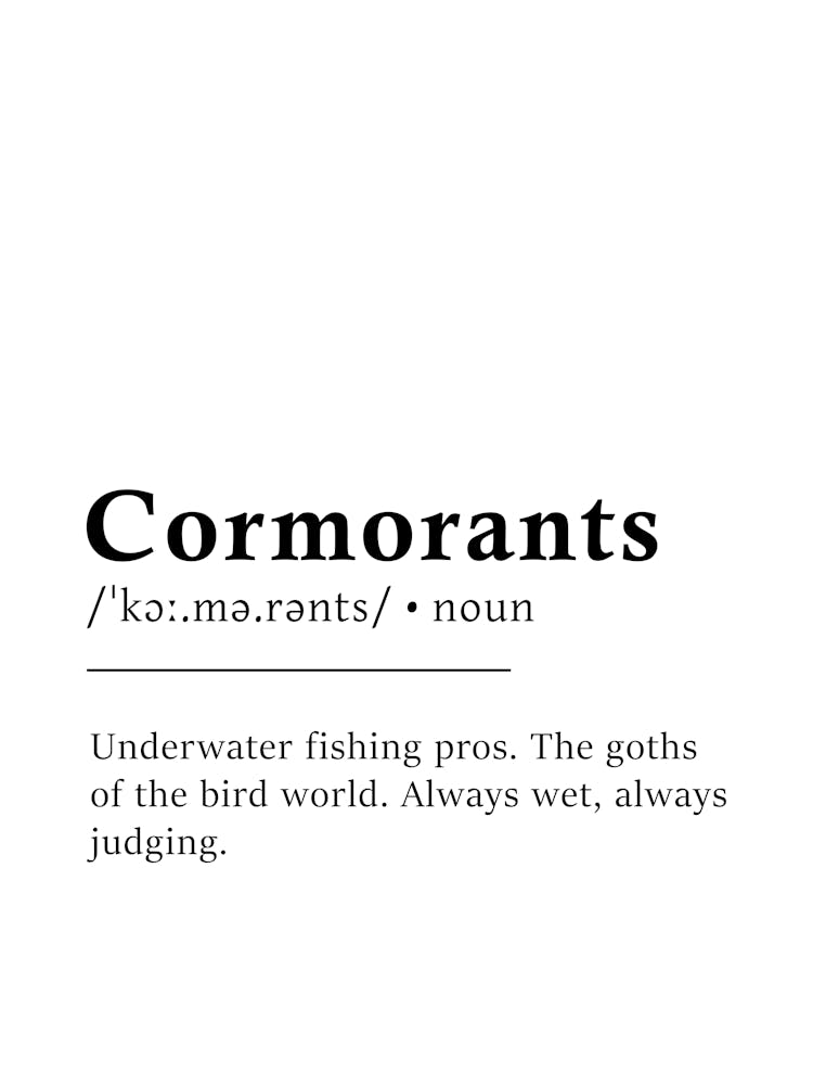 Cormorants Definition Poster - Dictionary