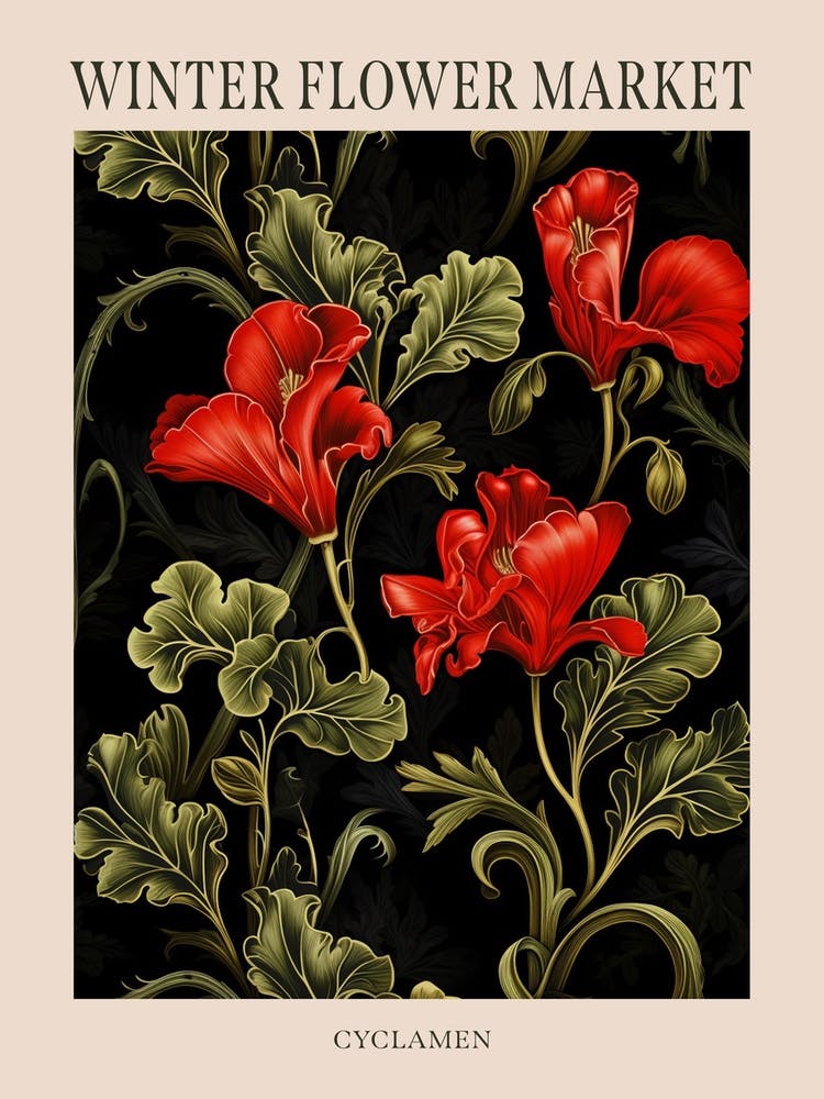 Cyclamen 4 Winter Flower Market Poster