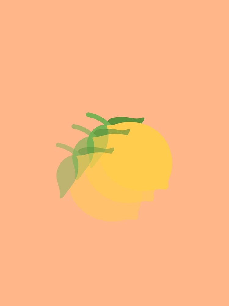 Lemons 2