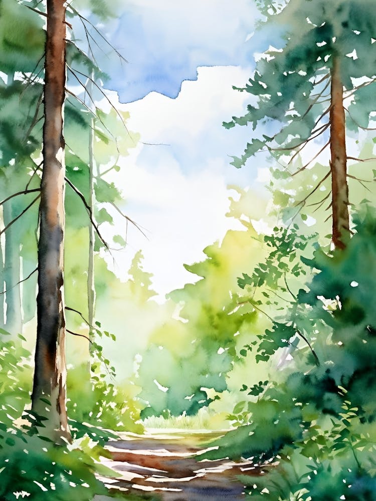 Watercolor Of A Forest Path