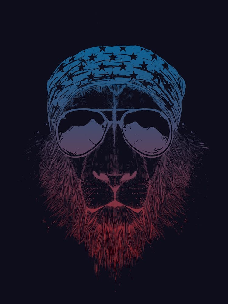 Wild lion (dark)