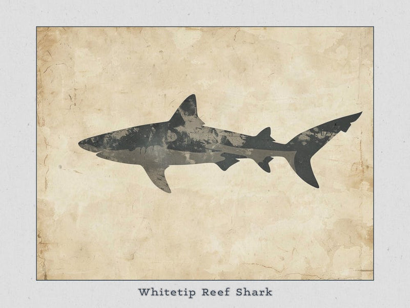 Whitetip Reef Shark Shark Silhouette 7 Poster