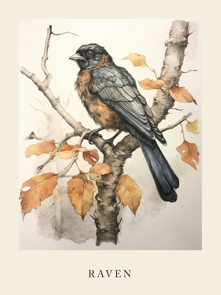 Von Beatrix Potter inspiriertes Tiermenaquarell Rabe 1