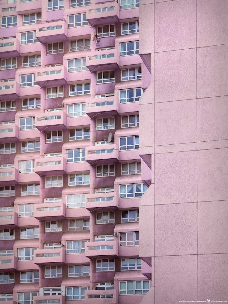 Cotton Gardens In Pink