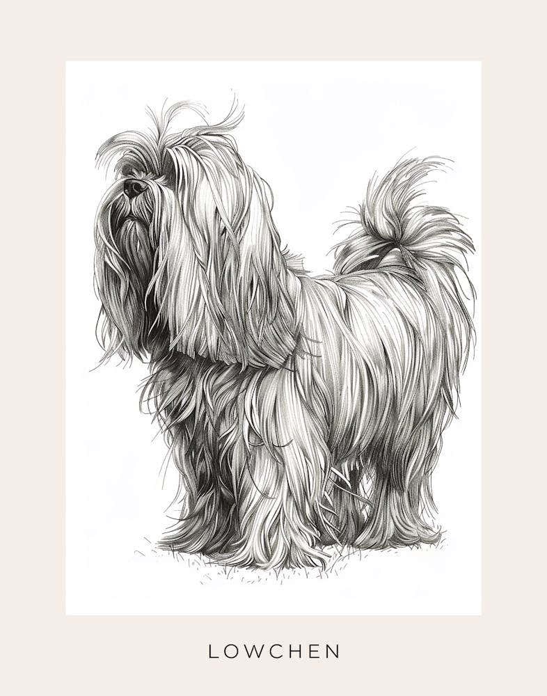 Lowchen Dog Line Sketch Poster
